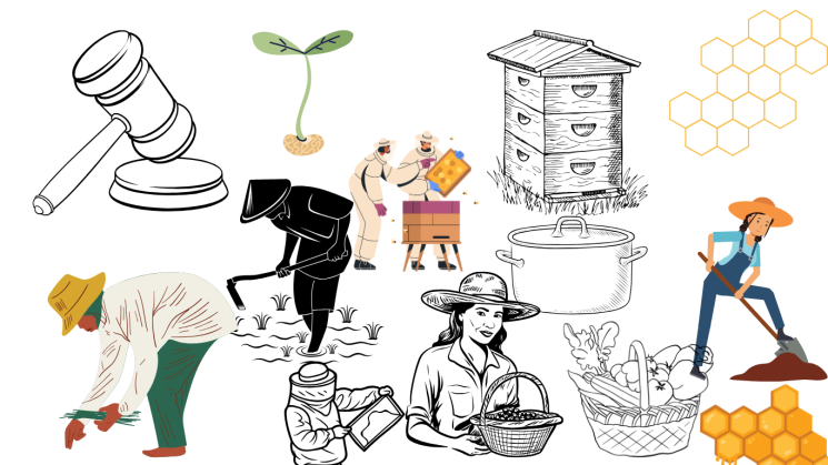 Eco Ruralis Takes Legal Action Against Illegal Pesticide Derogations in Romania